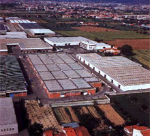distretto industriale