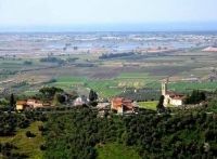 Massarosa