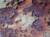 Rust-flake-macro