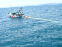 Caro gasolio: la crisi del settore ittico nell'Adriatico