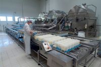 Industria alimentare: gli standard di igiene e sicurezza