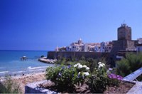 A Termoli trionfa l'archeologia industriale del trabucco