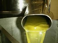 La lavorazione industriale dell'olio d'oliva