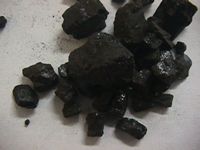 Carboni fossili: torbe, ligniti, litantraci e antraciti