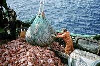 L'accordo Libia-Sicilia sulla pesca industriale