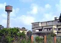 Miralanza_pontinia