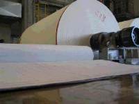 Industria della carta: come funziona la seccheria
