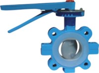 API-Lug-Type-Butterfly-Valve