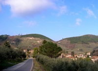 stitched_002
