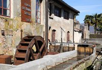 Museo-ferro