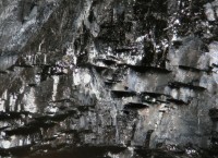 Silver_Lead