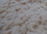 GOLD COAST, AUSTRALIA - JANUARY 28:  A man lays in ocean foam in Snapper Rocks as Queensland experiences severe rains and flooding from Tropical Cyclone Oswald on January 28, 2013 in Gold Coast, Australia. Hundreds have been evacuated from the towns of Gladstone and Bunderberg while the rest of Queensland braces for more flooding.  (Photo by Chris Hyde/Getty Images)