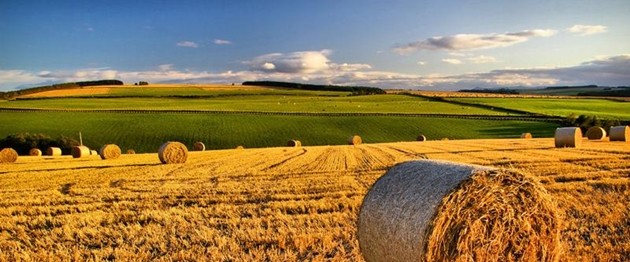 Fondi europei agricoltura a rischio restituzione per l'Italia