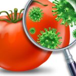 sicurezza alimentare